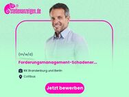 Forderungsmanagement-Schadenersatzansprüche / Arzthaftpflichtschäden (m/w/d) - Cottbus