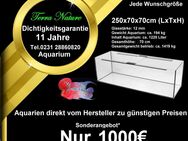 Aquarium 250x70x70 cm 1225L Aquariumbau Aquarium Hersteller - Dortmund Mengede