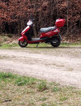Elektro- Roller EAGLE 45Km/h - Illertissen
