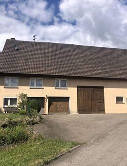 Großes Bauernhaus mit gr. Grundstück - sanierungsbedürftig - Denkingen