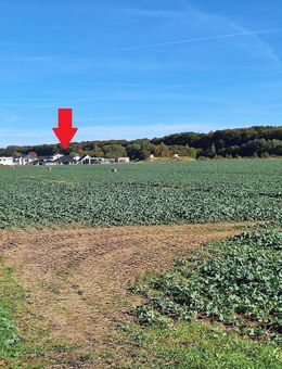 Waldnah und Weitblick - Neuwertiges Einfamilienhaus in Greifswald - Greifswald