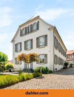 Ein Juwel mitten im Rhein-Main-Gebiet - Nierstein