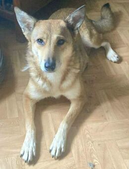 YELLOW sucht ihren Glücksort... - Koblenz