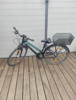 Piazza Pegasus Fahrrad Trekking Fahrrad, Citybike - Herten