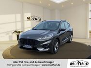 Ford Kuga, 2.0 ST-Line EcoBlue, Jahr 2023 - Gardelegen (Hansestadt)