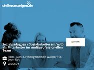 Sozialpädagoge / Sozialarbeiter (m/w/d) als Mitarbeiter im multiprofessionellen Team - Walldorf (Baden-Württemberg)