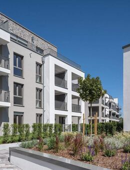 LETZTE 3 Zimmer Penthouse-Traum- Atemberaubende Dachterrasse-lichtdurchfluteter+großzügiger Wohnraum - Maintal