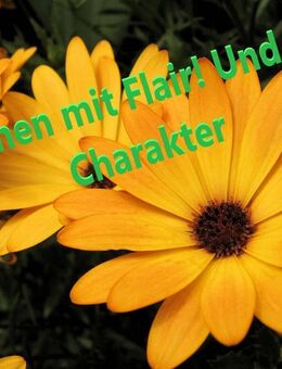 Wohnen mit Flair! Und viel Charakter!!! - Rehling