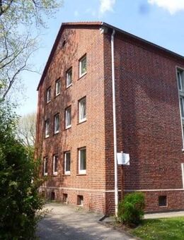 3,5 Zimmer in Herne Baukau - Herne