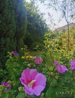 Freistehend und mit großem Garten - Backnang