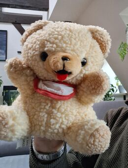 Teddy / Plüschtier / Handpuppe - Görlitz
