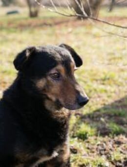 LEVEL - ausgeglichenes Zuhause - Overath