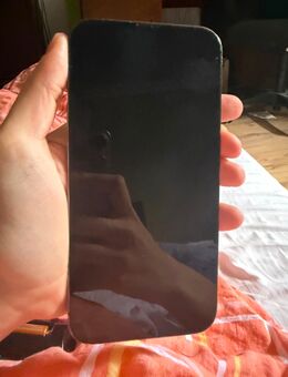Iphone 13 Pro Max - Wunstorf
