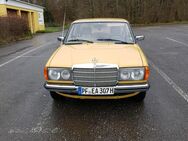 Mercedes W123 240 D,Baujahr 1981,H-Nummer,TÜV04/27 - Pforzheim