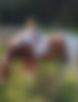 Pas*** - Schwarzenbach (Wald)