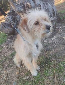 Viva ❤️ herzliches & fröhliches Mädchen - Velbert