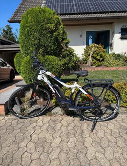 Gebrauchtes E-Bike Haibike Trecking SDuro 5.0 - Mendig