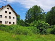 Sanierungsbedürftige Hofstelle in Schwarzach mit viel Grund arrondiert - Schwarzach (Bayern)