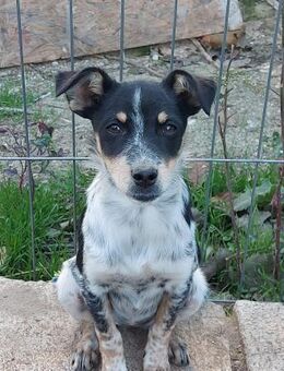 Tala - Rotenburg (Fulda)