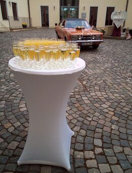 Stehtisch zu vermieten - Dessau-Roßlau