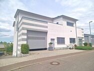 TOP-GEWERBE MIT PENTHOUSE WOHNUNG - Bissingen (Teck)