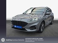 Ford Kuga 2.0 EcoBlue Aut. ST-LINE X - Hildesheim