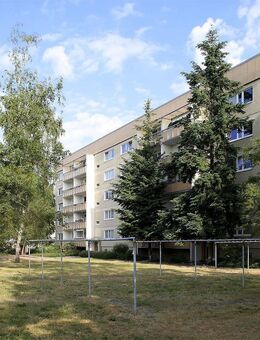 Aufgemerkt ... 3 - Raum-Wohnung im Erdgeschoss! - Neubrandenburg