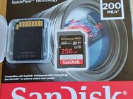 SunDisc Extrem Pro 256 GB - Waltrop