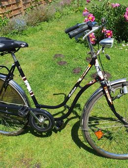 26 Zoll Damen Fahrrad - Wesel