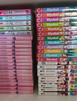 Manga Konvolut Romance Paket ca 40 Manga - Leichlingen (Rheinland, Blütenstadt)