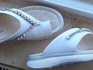 Zehentrenner / bequeme Pantolette - Gabor rolling soft - Gr. 40 - Petersberg (Hessen)
