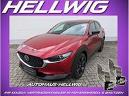 Mazda CX-30, 2.0 l (150PS) Homura 2024 NEU, Jahr 2022 - Hoyerswerda