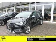 Opel Crossland, 1.2 INNOVATION Turbo EU6d-T Innovation Winterp, Jahr 2018 - Niederahr