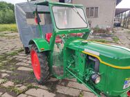Deutz f1l612 mit Leutewagen - Berga (Elster)