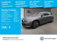 Skoda Octavia, 2.0 TDI Combi Style nx547d, Jahr 2024 - Frankfurt (Main)