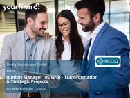 (Junior) Manager (m/w/d) - Transformation & Strategic Projects - Liederbach (Taunus)