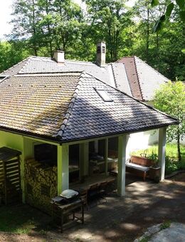 Wohnen auf 190 m² und gleichzeitig leben auf 2500 m² mitten im Wald - Schwäbisch Gmünd