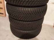 4 x Nexen N Blue 4Season 195/65 R15 91H M+S - Bad Dürkheim