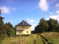 Provisionsfrei - Historische Villa in gepflegtem Zustand auf großem Grundstück - Schöneck (Vogtland)