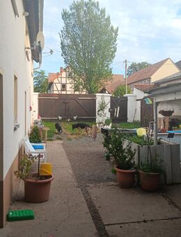 Vierseitenhof in Ruhige Lage Sanierung und Renovierung Bedürfniss - Berga (Elster)