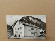 Postkarte C-215-Pfronten-Heitlern im Allgäu. Haus Bergkranz. - Nörvenich