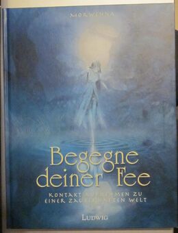 Begegne deiner Fee, Morwenna + Kennst Du Deinen Engel, Benjamin Klein, neuwertig - München