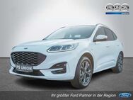 Ford Kuga 2.5 PHEV ST-Line NAVI ACC HUD LED PANO - Halle (Saale)