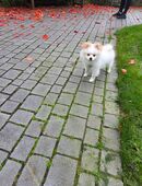 oglou in 67547