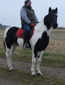 Pintomixstute Lora - Buttstädt