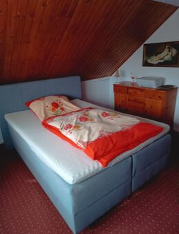 2 Raum Wohnung sucht mit Bewohnerin - Greifswald Zentrum