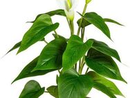Kunstpflanze Lesum Calla, my home, Höhe 44 cm, im Topf