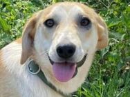 BETTY hat einen Wunsch - Gefrees