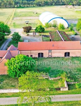 Pferdehof - Reitanlage, 4 FeWo, 10 ha Land + ca. 5,2 ha Pachtland, Reithalle 20 x 60 m + Aussenreitplätzen, Laufstall 16 Pferde+4 Boxen, g - Dreetz (Brandenburg)
