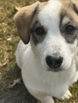 Linah, fröhliche junge Dame sucht - Berlin